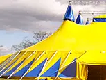 Ecole de Cirque de Genève Théâtre-Cirqule