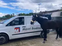 Moret - Brodmann AG - Klicken Sie, um das Bild 3 in einer Lightbox vergrössert darzustellen