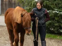 Equimove GmbH