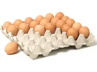 Propac AG
