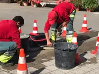 Blumen & Gärten Schalch AG - Klicken Sie, um das Bild 3 in einer Lightbox vergrössert darzustellen