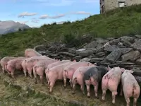 AZIENDA AGRICOLA ARCIONI LUIGI - Klicken Sie, um das Bild 6 in einer Lightbox vergrössert darzustellen