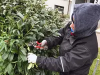 Rothenbühler Gartenbau AG