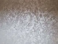 Swiss Maler & Reinigungsservice