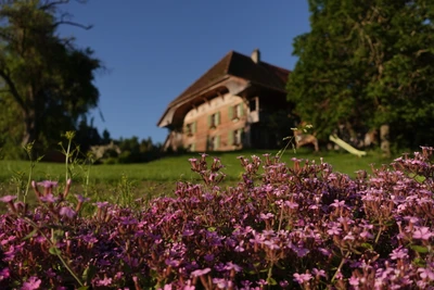 Bauernhaus Familie Schori