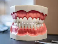 Dr. med. & med. dent  Raphael Perren