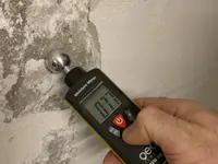 Schimmel Experten