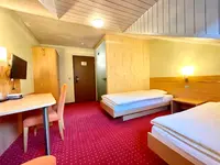 Hotel des alpes Fiesch