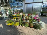 Herrmann Garten & Blumen AG