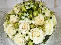ARUM-Blumen