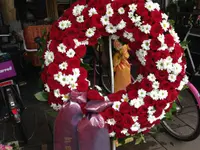 Blumen Müller