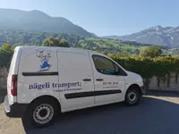 nägeli reinigungen & transporte plus ag