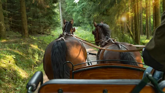 Kutschenfahrt in der Schweiz
