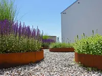 gartenbaumann AG