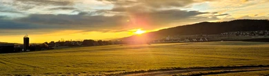 Therapeutische Massagepraxis Tünde Popa