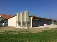 Holzbau Meier AG