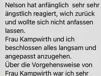 Hundesalon s'Paradiesli - Kampwirth GmbH - Klicken Sie, um das Bild 14 in einer Lightbox vergrössert darzustellen