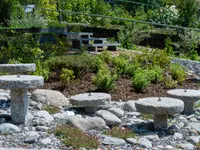 Wittwer Blumen Gartenbau AG