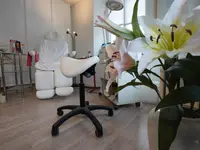 Pedisa
