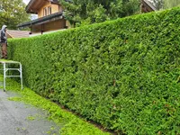 GartenTeam Inäbnit AG