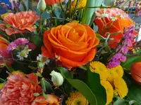 Blumen und Pflanzen
