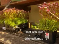 Bühlmann & Partner Garten GmbH