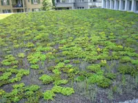 stettler polybau AG