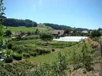 Créafloristique AG