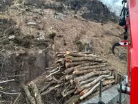 ONSFOREST Sagl