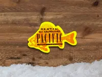 Pacific Shop Rental