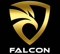 Logo FALCON