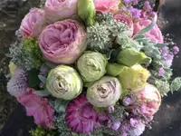 Blumen Vergissmeinnicht