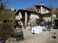 CORTE DEL VINO TICINO - Klicken Sie, um das Bild 11 in einer Lightbox vergrössert darzustellen