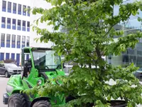 Signer Gartenpflege - Klicken Sie, um das Bild 3 in einer Lightbox vergrössert darzustellen