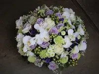 Blumen Ball GmbH