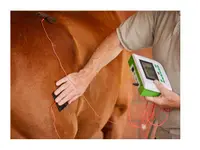 Chiron Vet GmbH