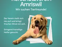 Tierschutzverein Amriswil und Umgebung