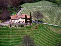 Tenuta Bally & von Teufenstein - Klicken Sie, um das Bild 2 in einer Lightbox vergrössert darzustellen