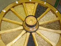 Mühle Bachmann AG