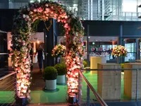 Blumen Flowerevents - cliccare per ingrandire l’immagine 7 in una lightbox