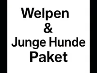 Odins Hundeschule