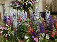 Blumen Vorderberg