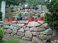 Braun Gartenbau AG