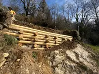 ONSFOREST Sagl