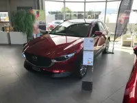 Garage du Nouveau Salon SA