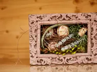 Gärtnerei Allemann Gmbh