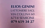 Elios Genini Lattoniere Sagl