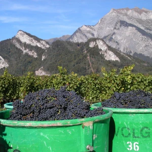 Weingut Jürg & Daniela