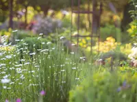 Gerber Gärten AG / Gerber Blumen
