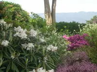 Rust & Co AG, Gartenbau